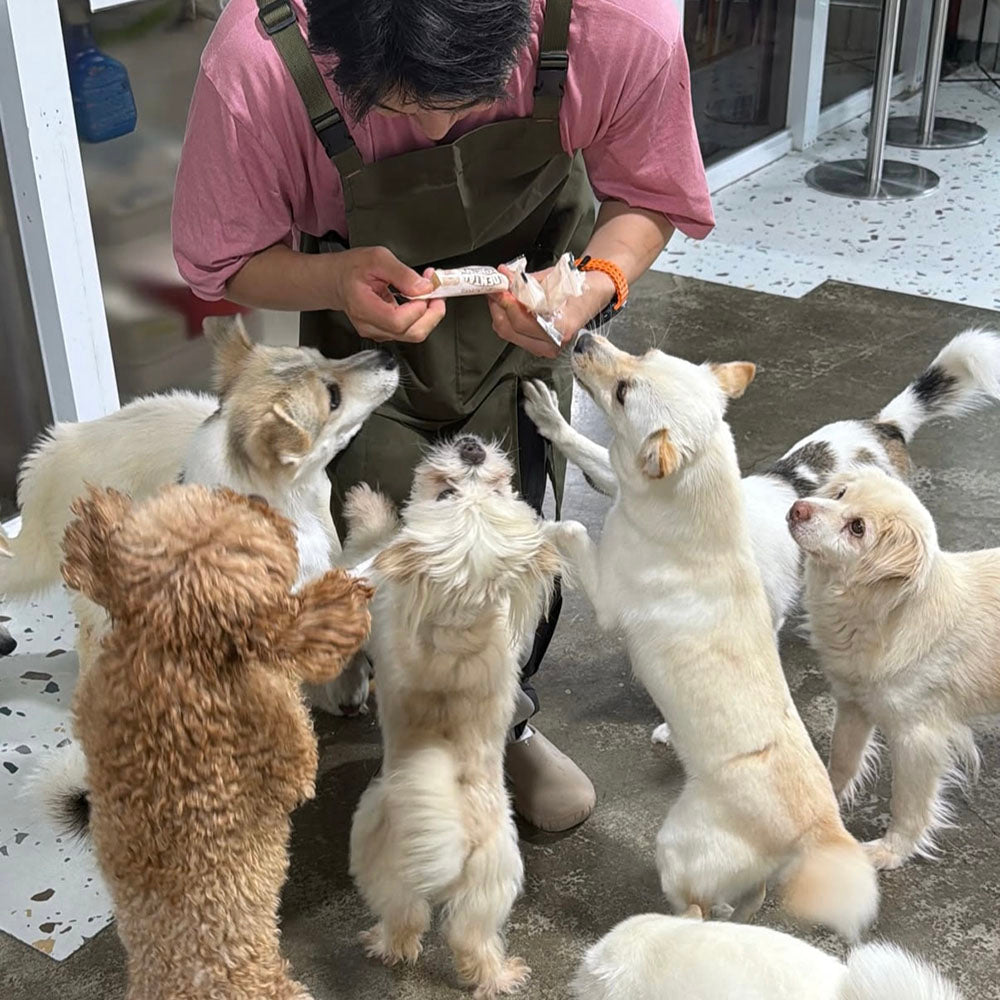 A Special Delivery - June Volunteer Story