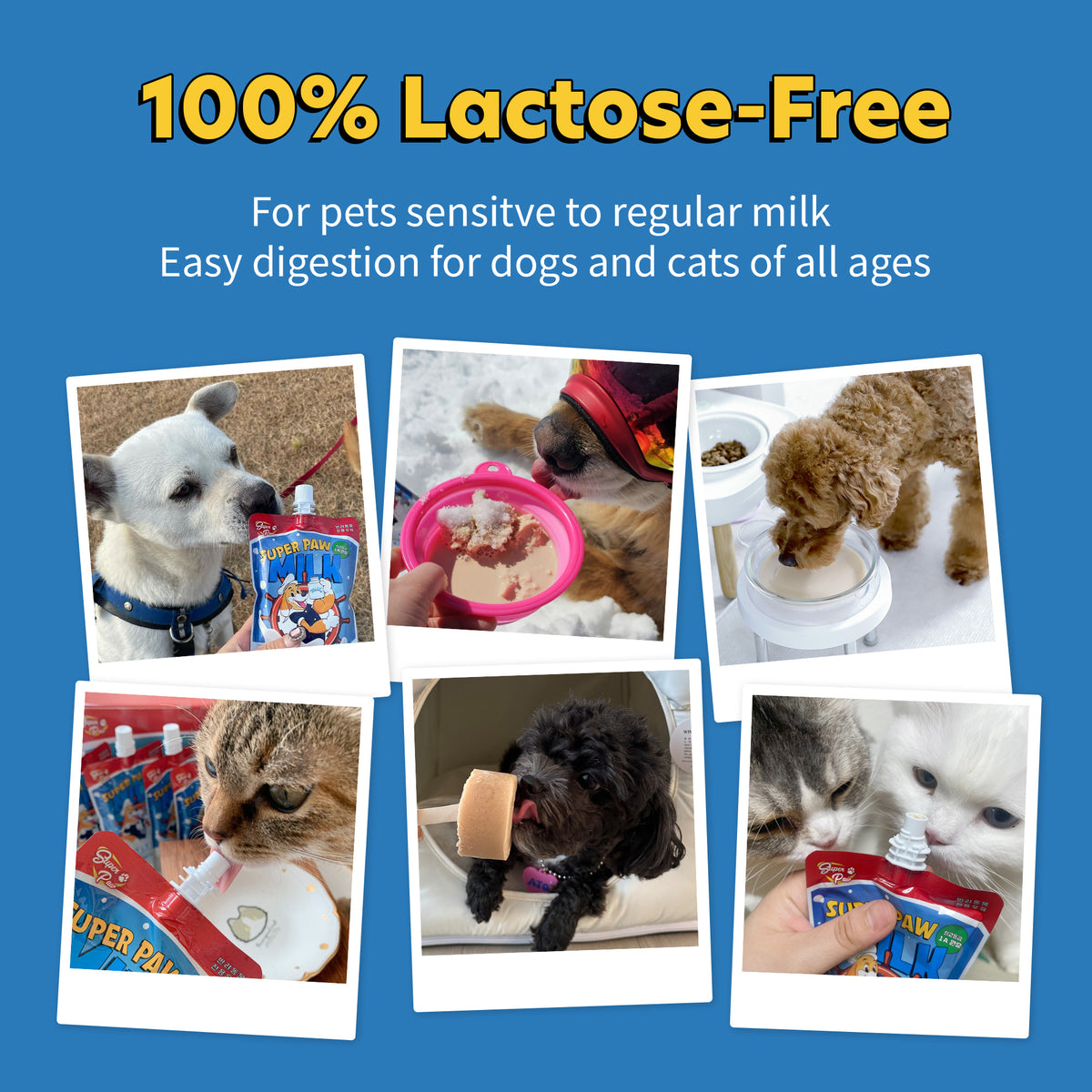 Lactose-Free Milk for Dog and Cat
