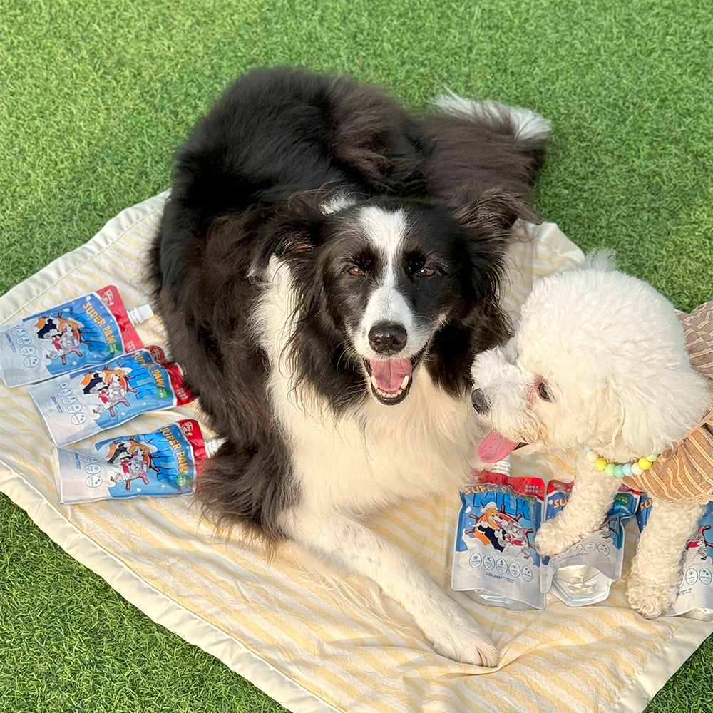 Lactose-Free Dog & Cat Milk, 10packs