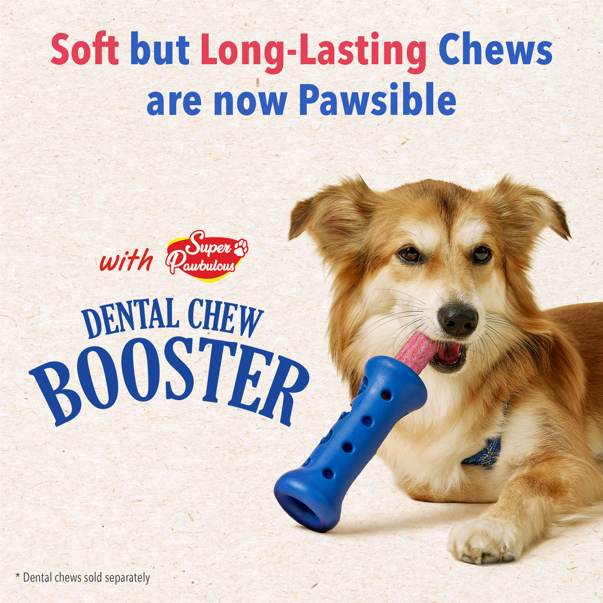 Starter Kit Set- Booster and Dental Chews