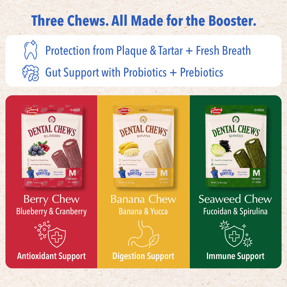 Starter Kit Set- Booster and Dental Chews