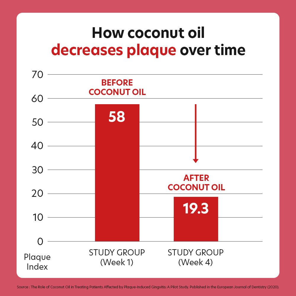 Dental Chews Berry - Antioxidant Support