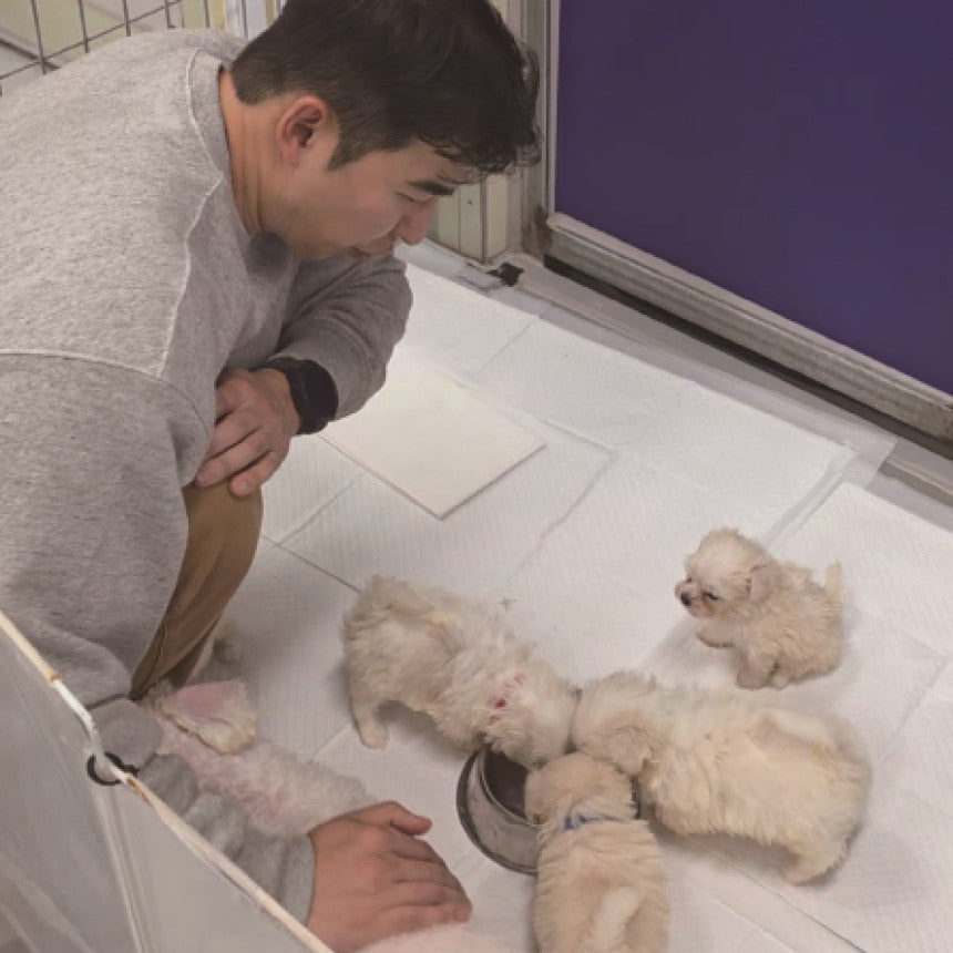 September Story: Supporting WEACT Animal Shelter