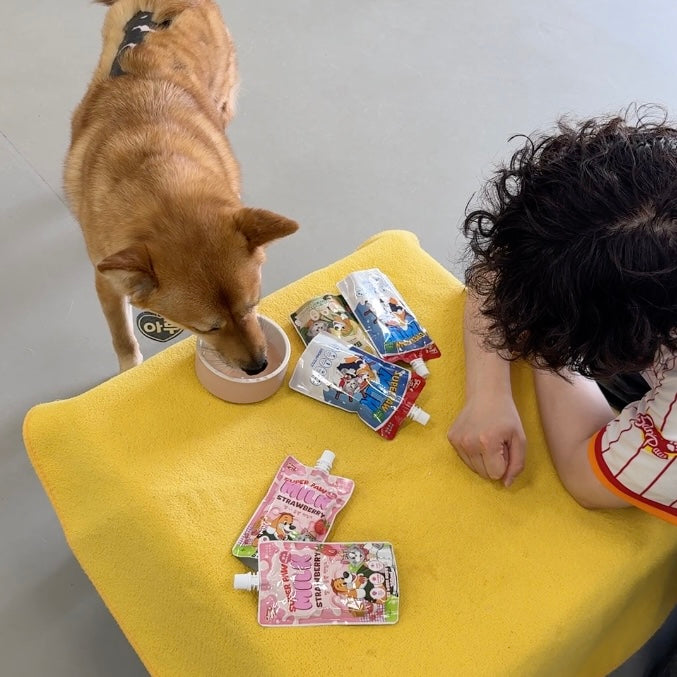 A Day at WeAct Shelter — April Volunteer Story