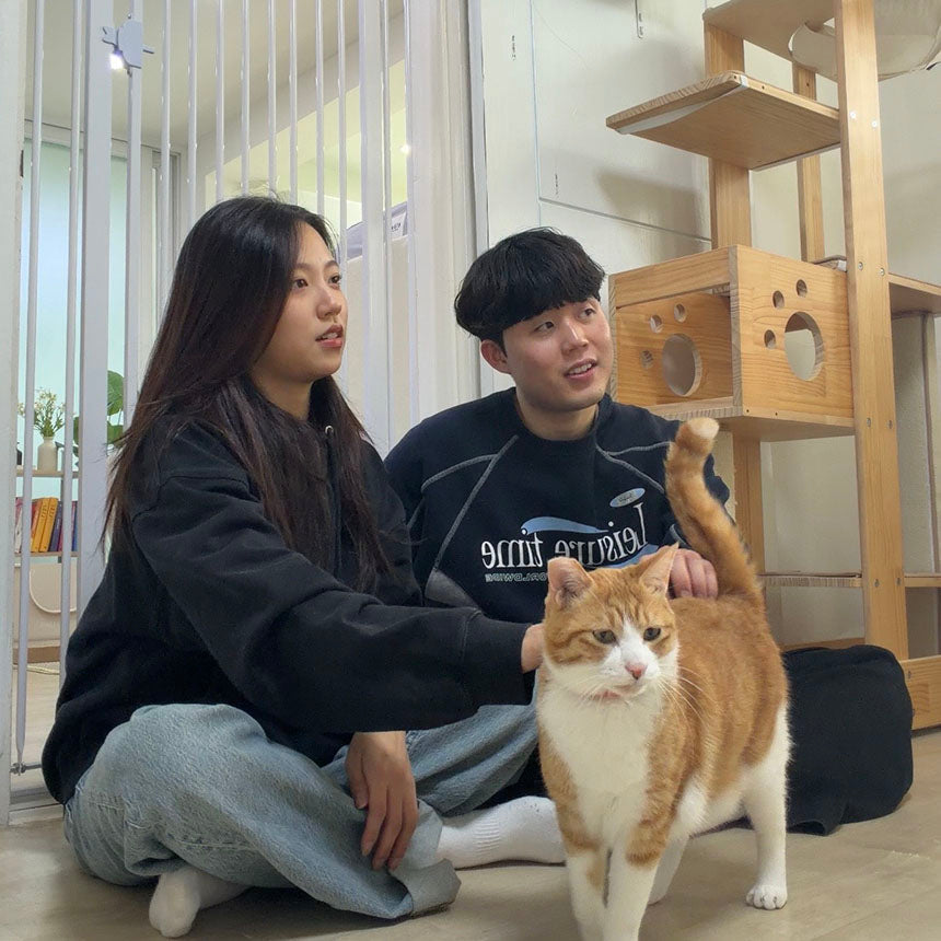 December Story: Visiting Daengnyang House Shelter