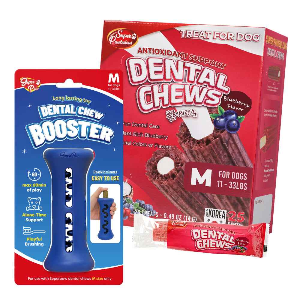 Starter Kit Booster and Dental Chews - Select Flavor and Size