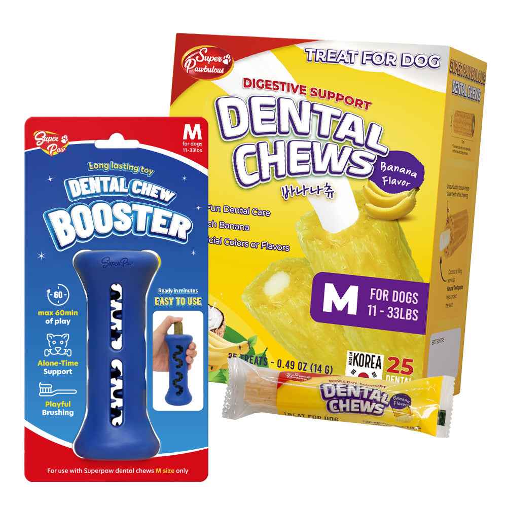 Starter Kit Booster and Dental Chews - Select Flavor and Size