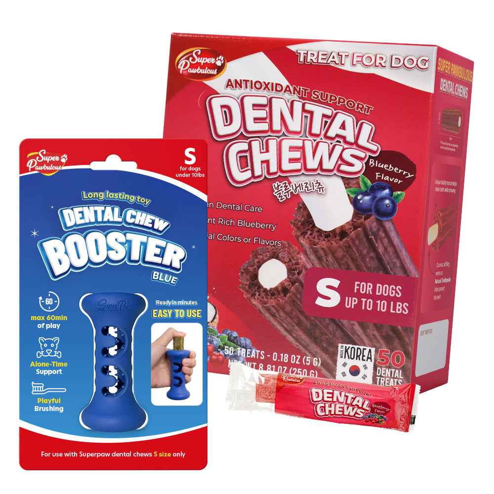 Starter Kit Booster and Dental Chews - Select Flavor and Size