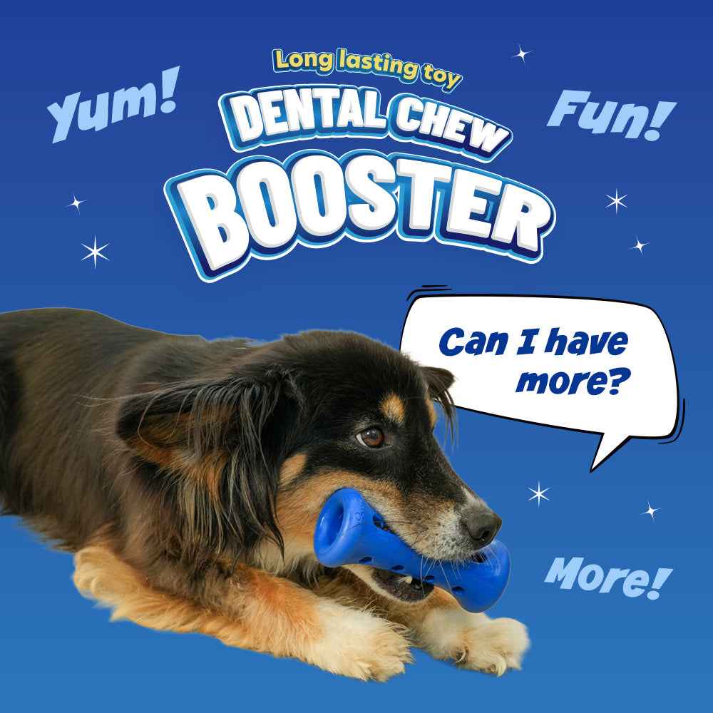 Starter Kit Booster and Dental Chews - Select Flavor and Size