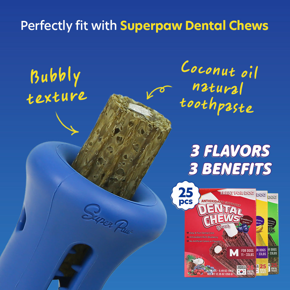 [Starter Kit] Booster + Dental Chews Banana for Medium Dogs