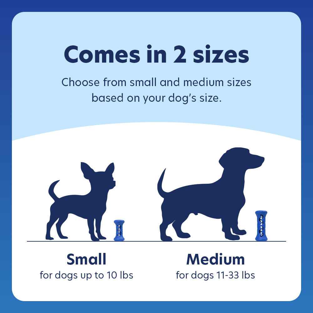 Starter Kit Booster and Dental Chews - Select Flavor and Size