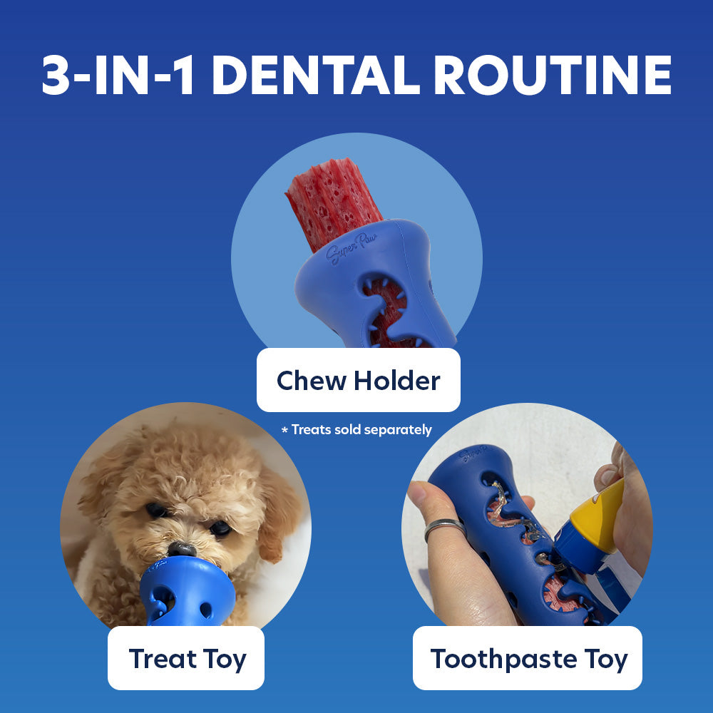 Dental Chew Booster - Blue