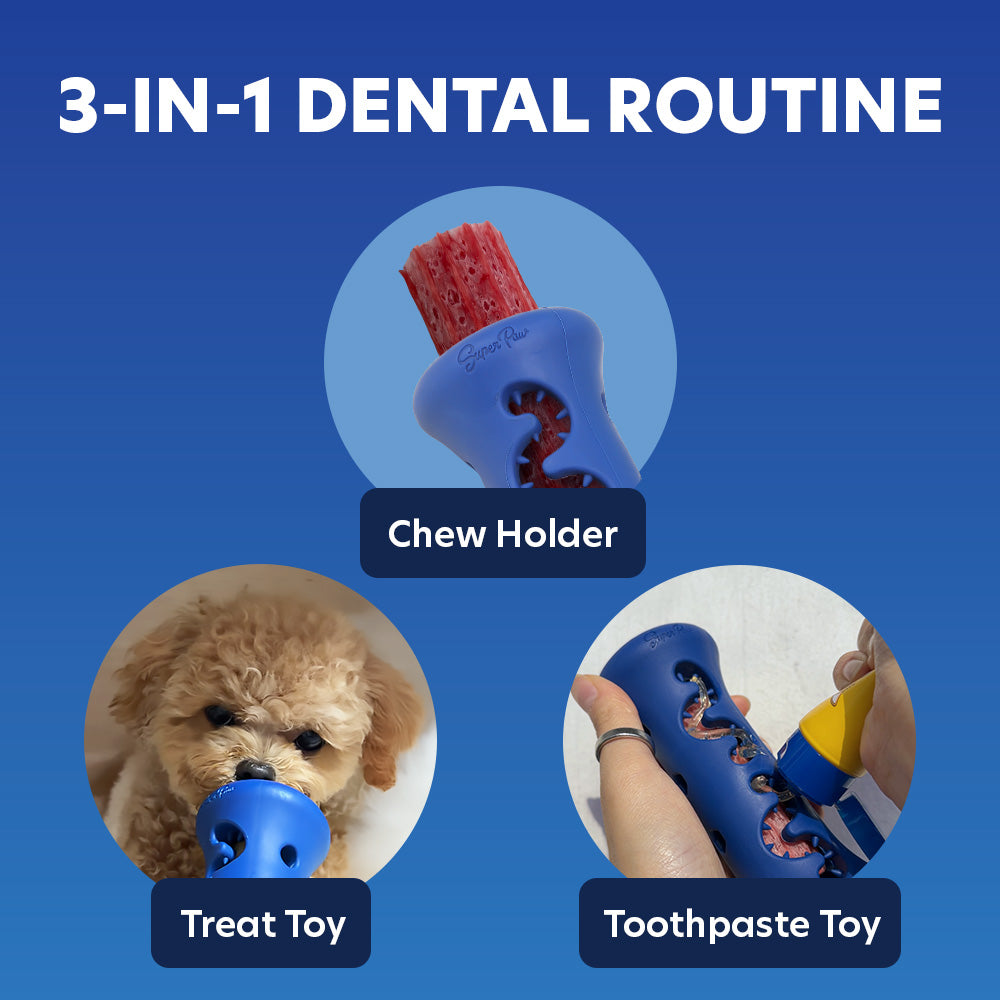 [Starter Kit] Booster + Dental Chews Banana for Medium Dogs