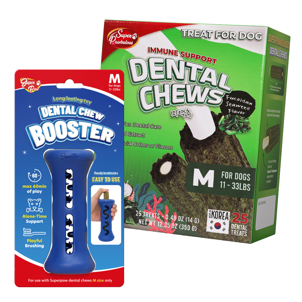 [Starter Kit] Booster + Dental Chews Seaweed for Medium Dogs