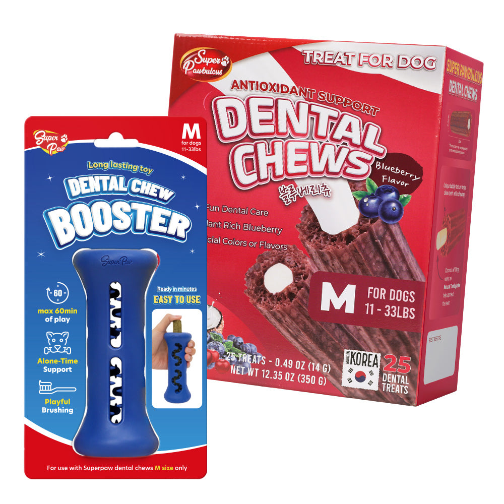 [Starter Kit] Booster + Dental Chews Berry for Medium Dogs