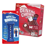 [Starter Kit] Booster + Dental Chews Berry for Medium Dogs