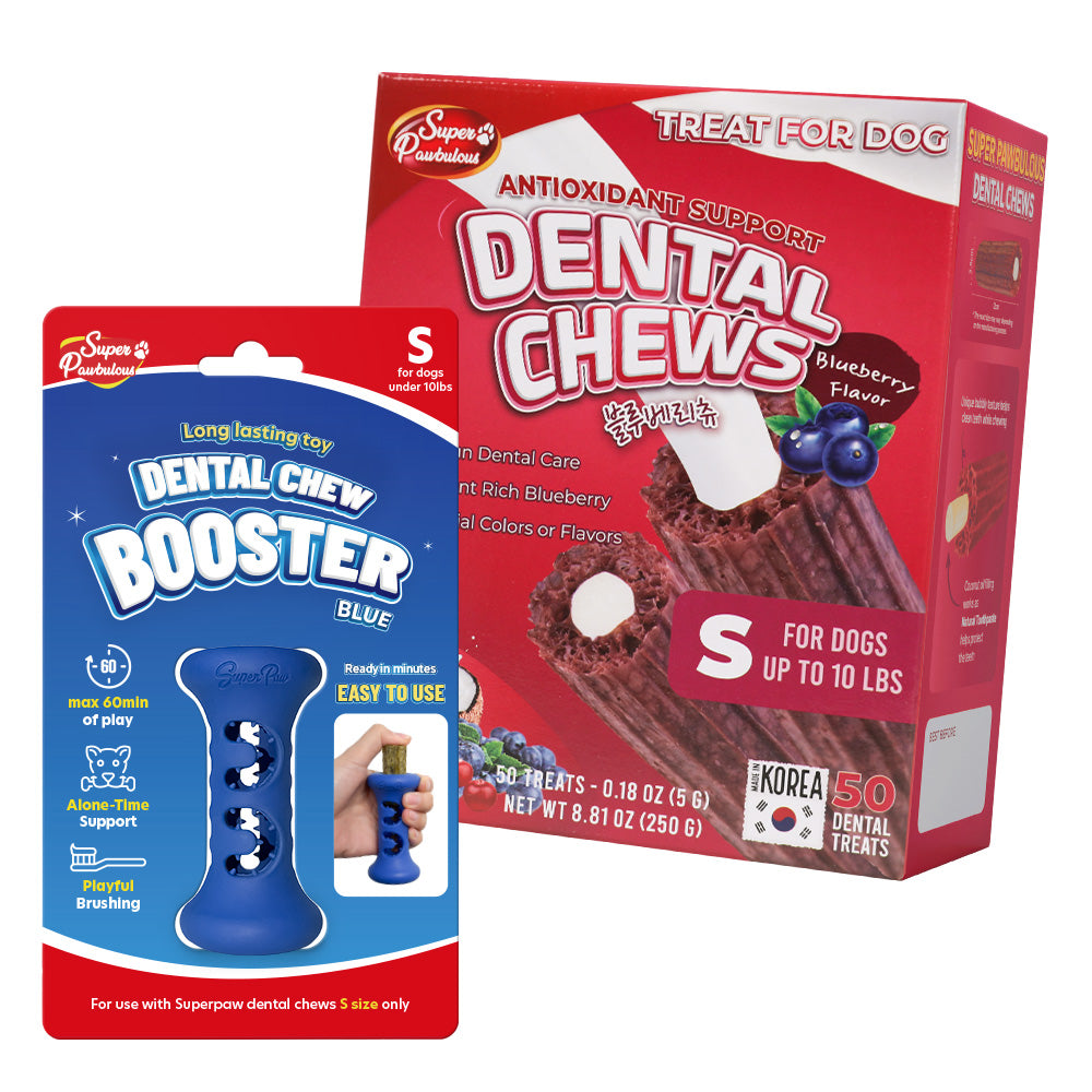[Starter Kit] Booster + Dental Chews Berry for Small Dogs