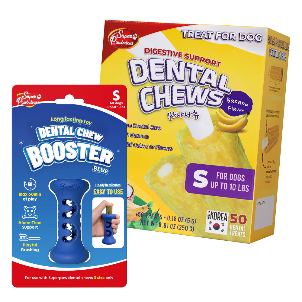 [Starter Kit] Booster + Dental Chews Banana for Small Dogs