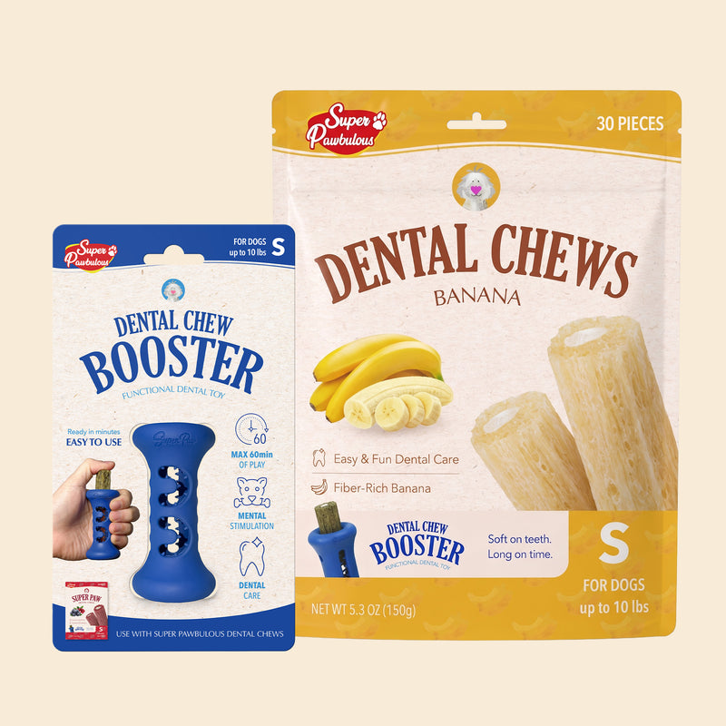 Starter Kit Set- Booster and Dental Chews