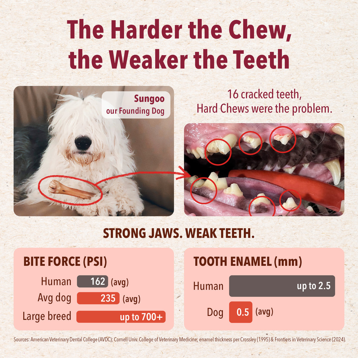Dental Chews - Berry