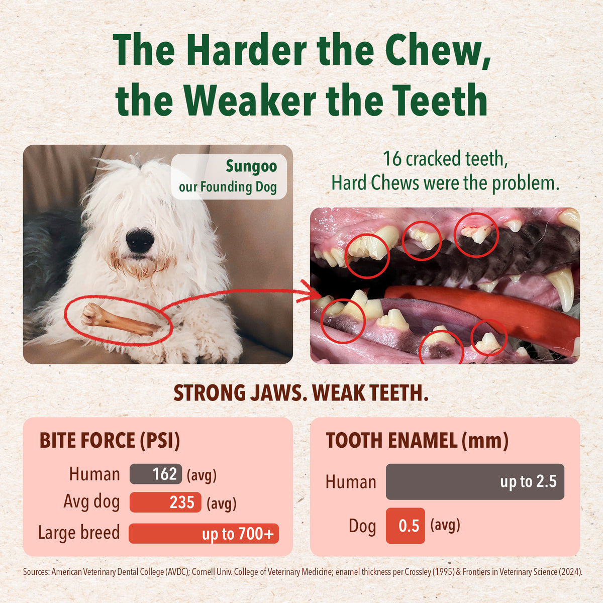 Dental Chews - Seaweed
