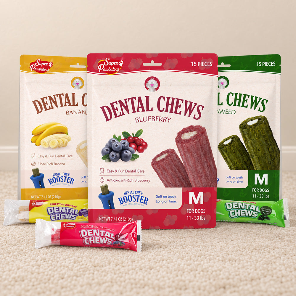 Blueberry, Banana and Seaweed Dental Chew packages.